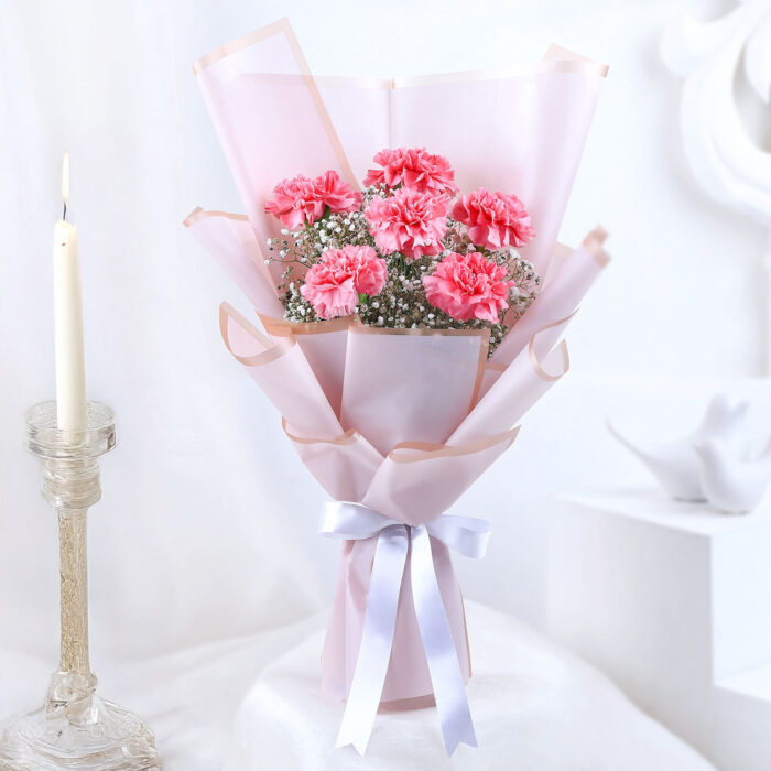 Blush Pink Carnations Bouquet – 6 Stems